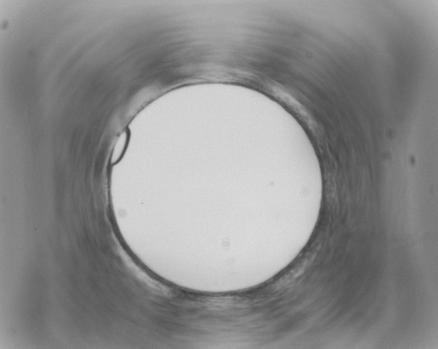 X0000070371479200607072116