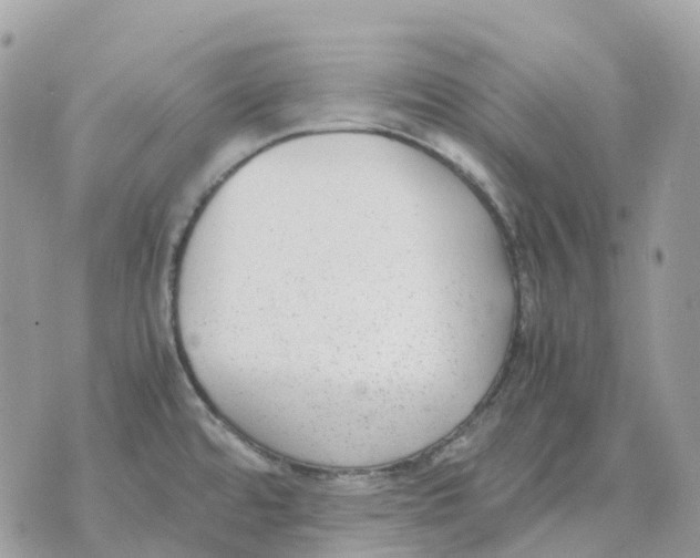 X0000070371480200607072116