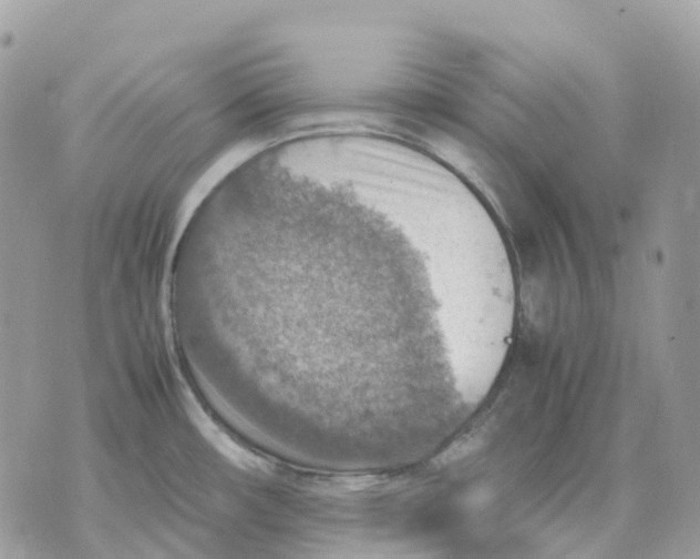 X0000070371482200607072116