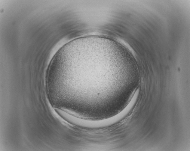 X0000070371483200607072116