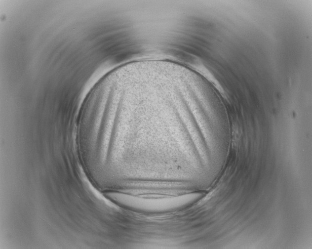 X0000070371484200607072116