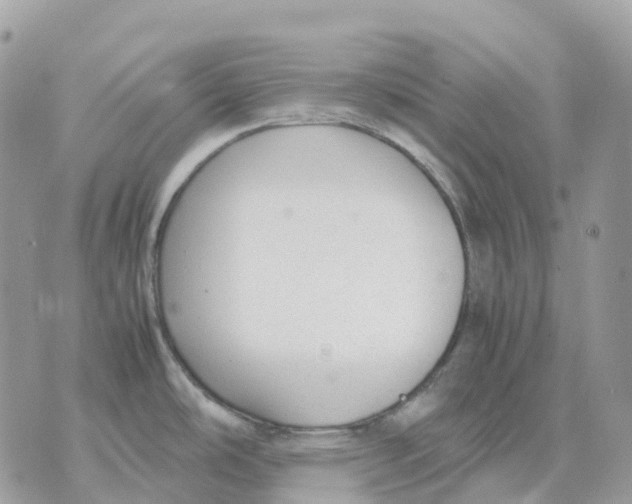 X0000070371486200607072116