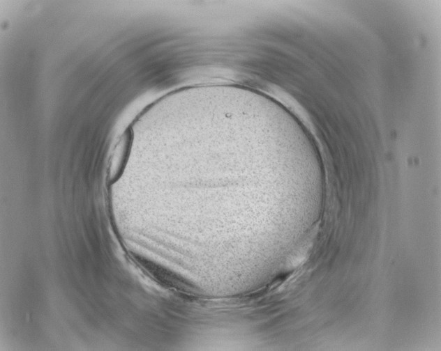 X0000070371488200607072116