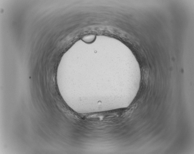 X0000070371489200607072115