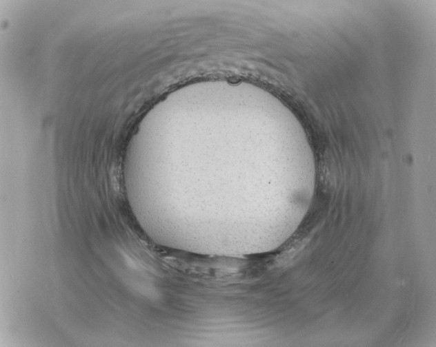 X0000070371490200607072115