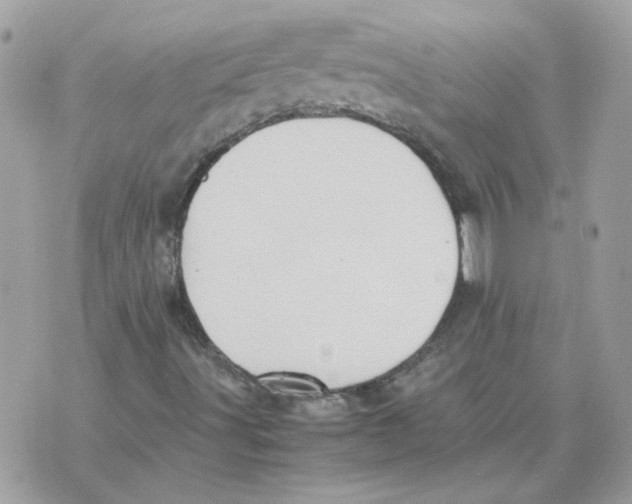 X0000070371491200607072115