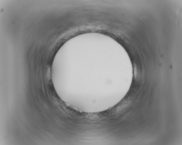 X0000070371492200607072115