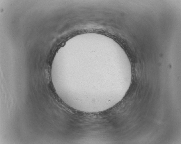 X0000070371493200607072115