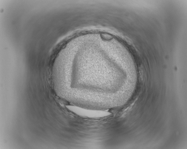 X0000070371494200607072115