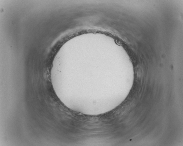 X0000070371495200607072115