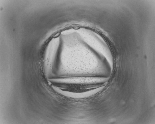 X0000070371496200607072115