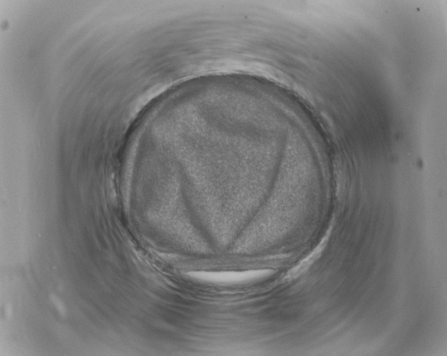 X0000070371497200607072115