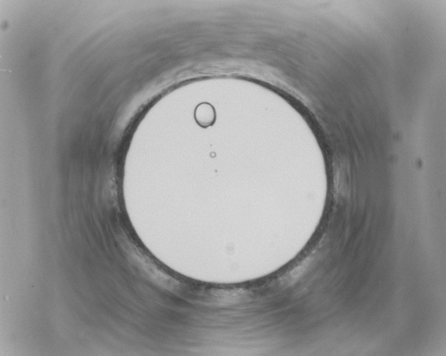 X0000070371498200607072115