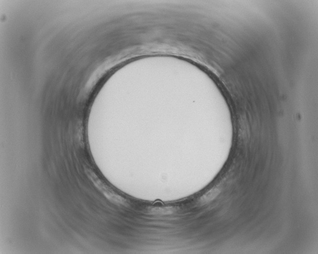 X0000070371499200607072115