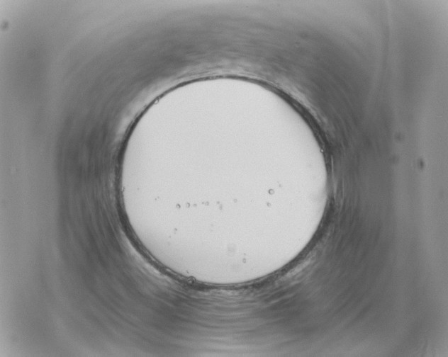 X0000070371500200607072115