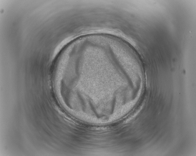 X0000070371501200607072115