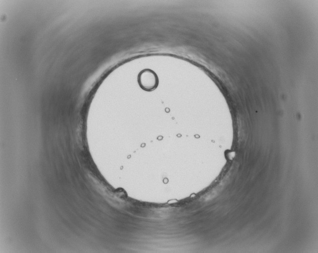 X0000070371502200607072115