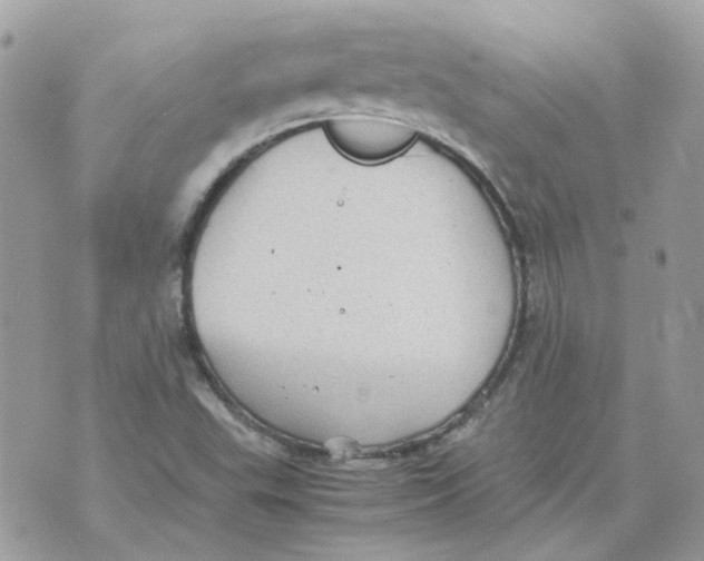 X0000070371503200607072115