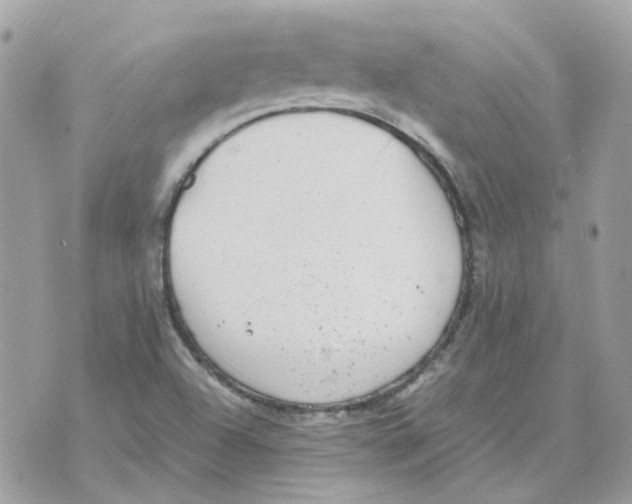 X0000070371504200607072115