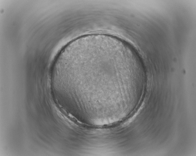 X0000070371506200607072115