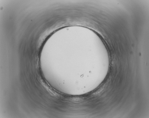 X0000070371507200607072115