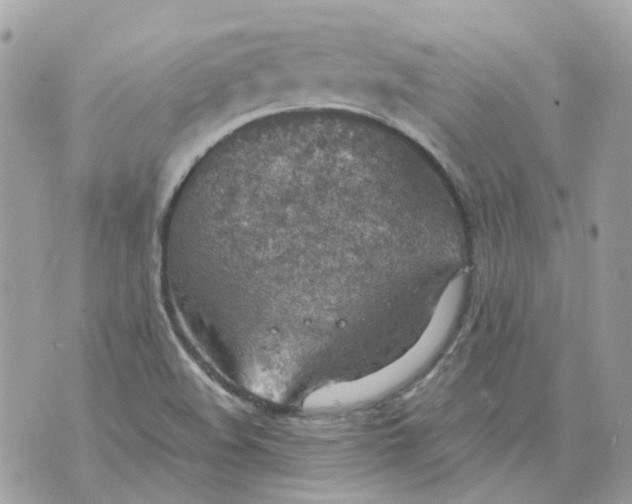 X0000070371508200607072115