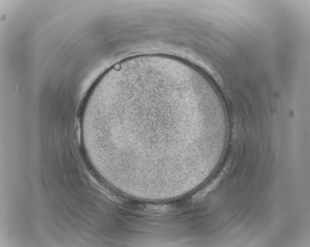 X0000070371509200607072115