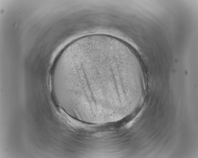 X0000070371510200607072115