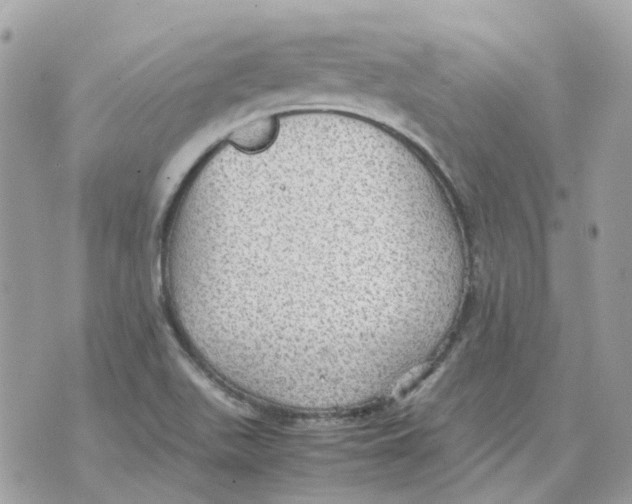 X0000070371511200607072115