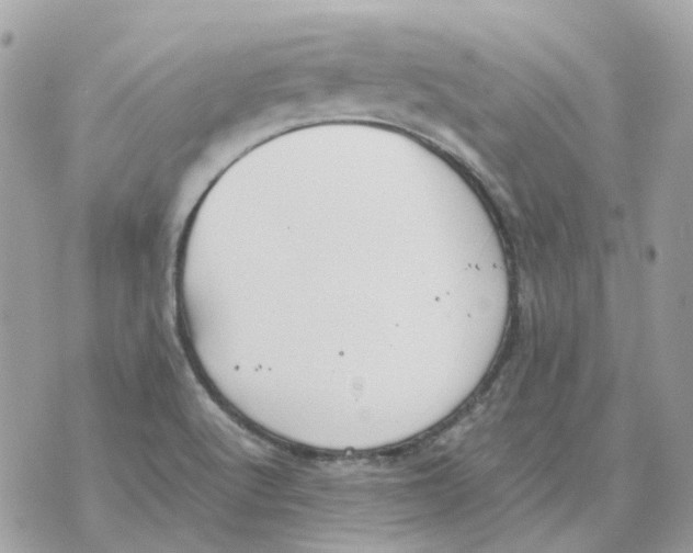 X0000070371512200607072115