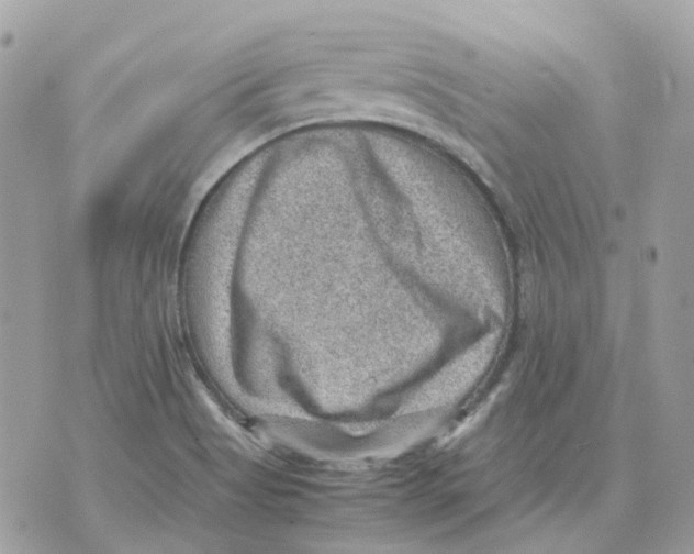 X0000070371513200607072115