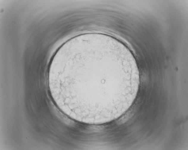 X0000070371514200607072115