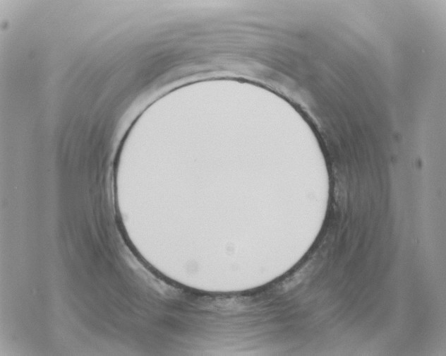 X0000070371516200607072115