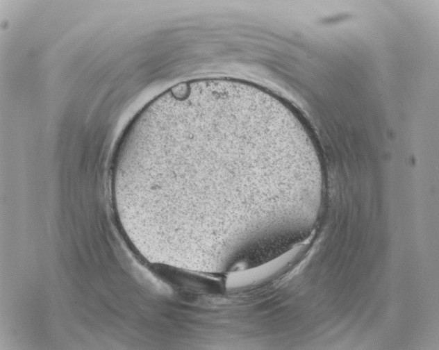 X0000070371517200607072115