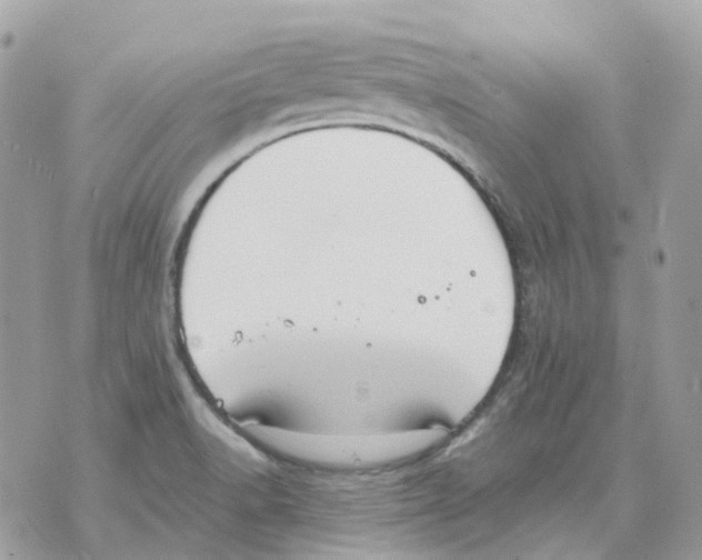 X0000070371518200607072115