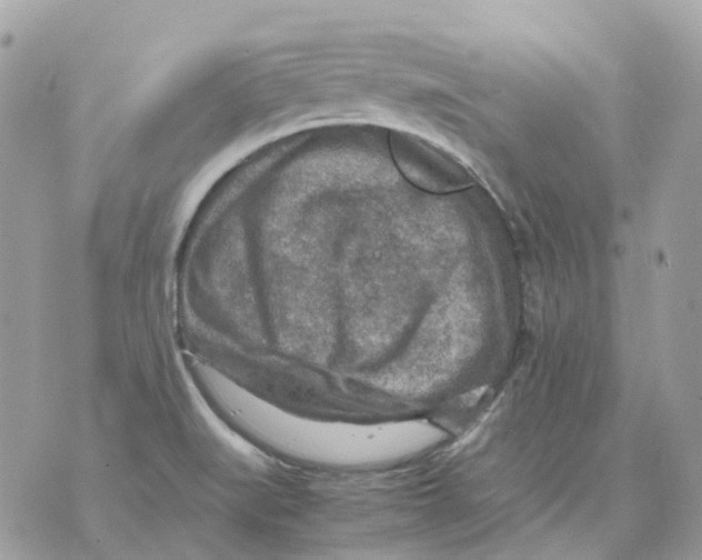 X0000070371519200607072115