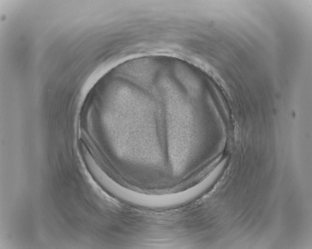 X0000070371520200607072115