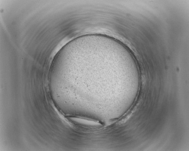 X0000070371521200607072115