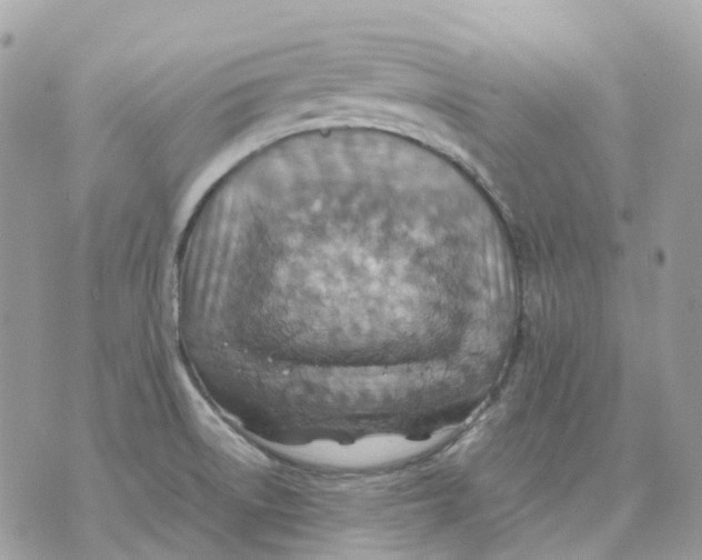 X0000070371522200607072115