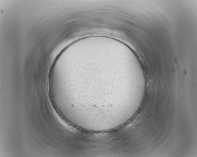 X0000070371523200607072115