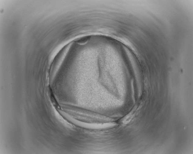 X0000070371524200607072115