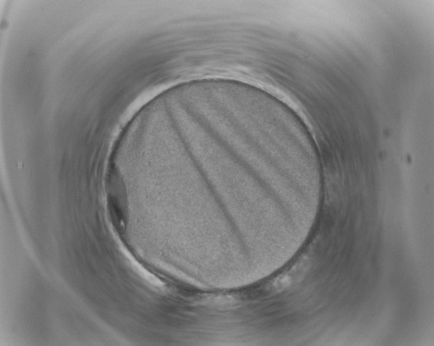 X0000070371525200607072115