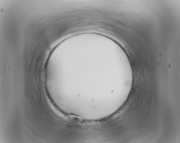 X0000070371526200607072115