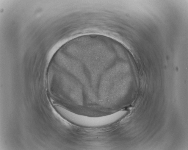 X0000070371527200607072115