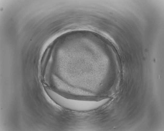 X0000070371528200607072115