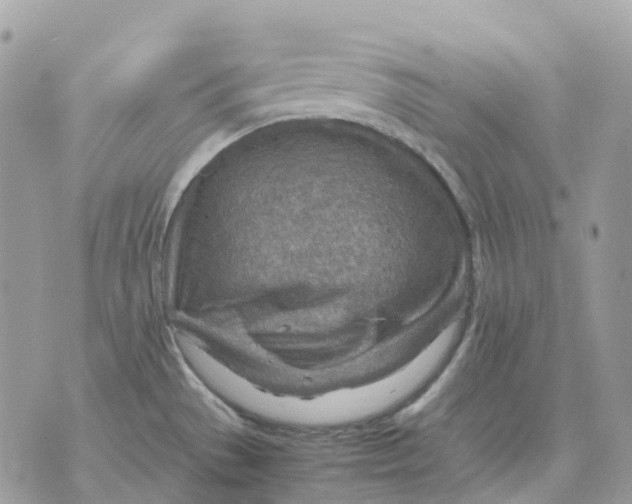 X0000070371529200607072115