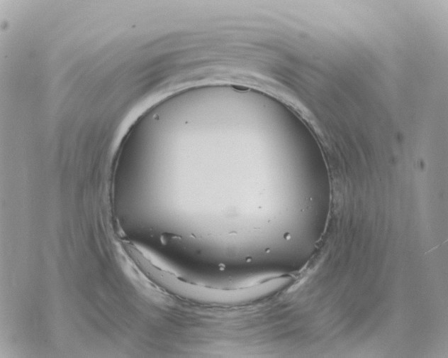 X0000070371530200607072115