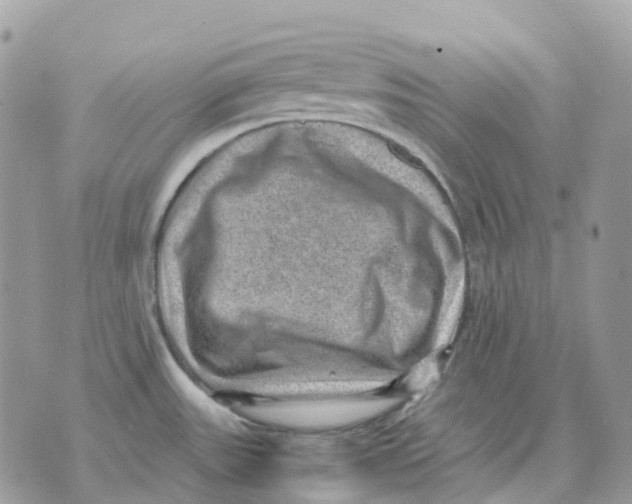 X0000070371531200607072115