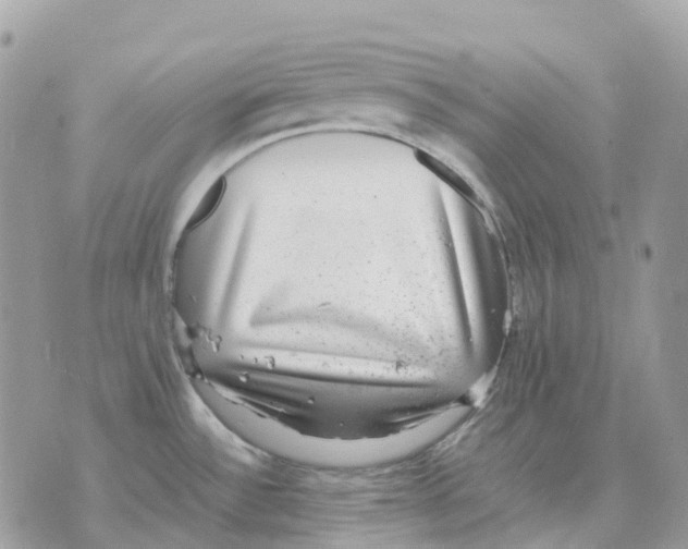 X0000070371532200607072116