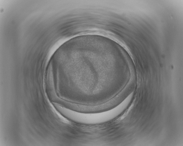 X0000070371533200607072116